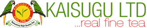 logo1 1